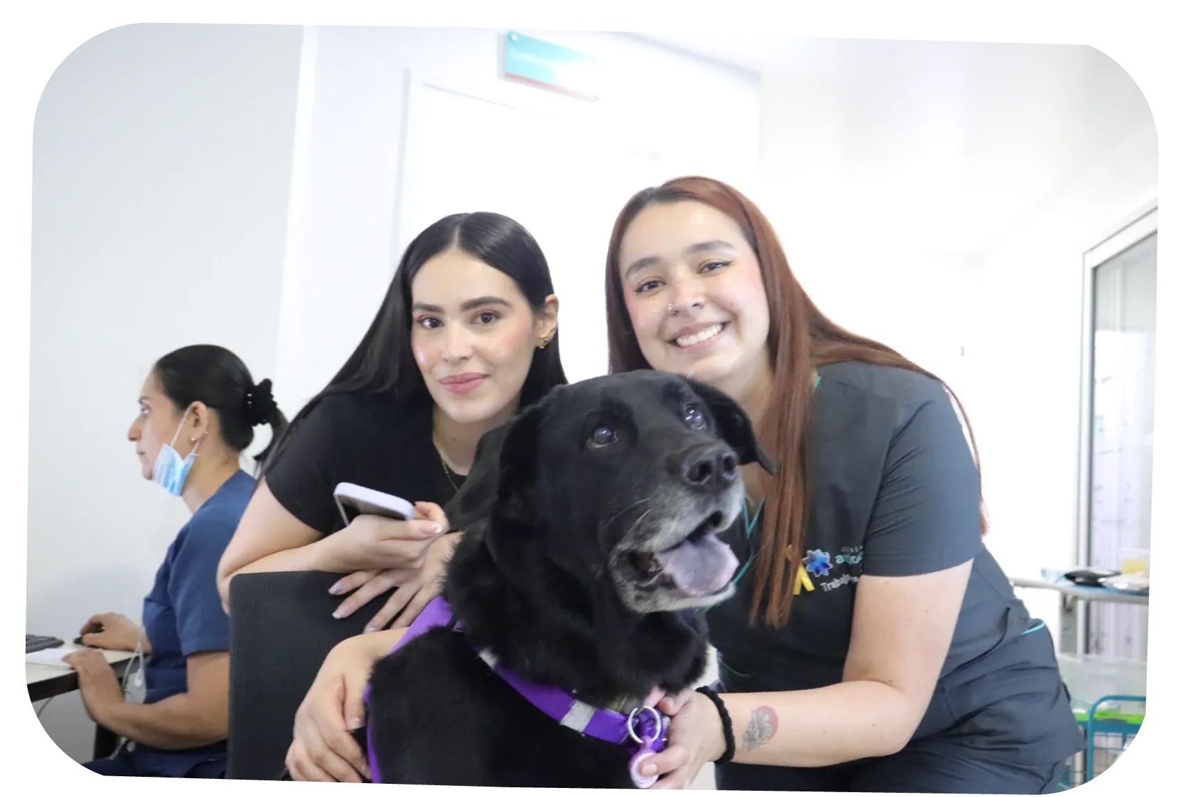 Colaboradoras de Clínica Antioquia junto a un perro de terapia