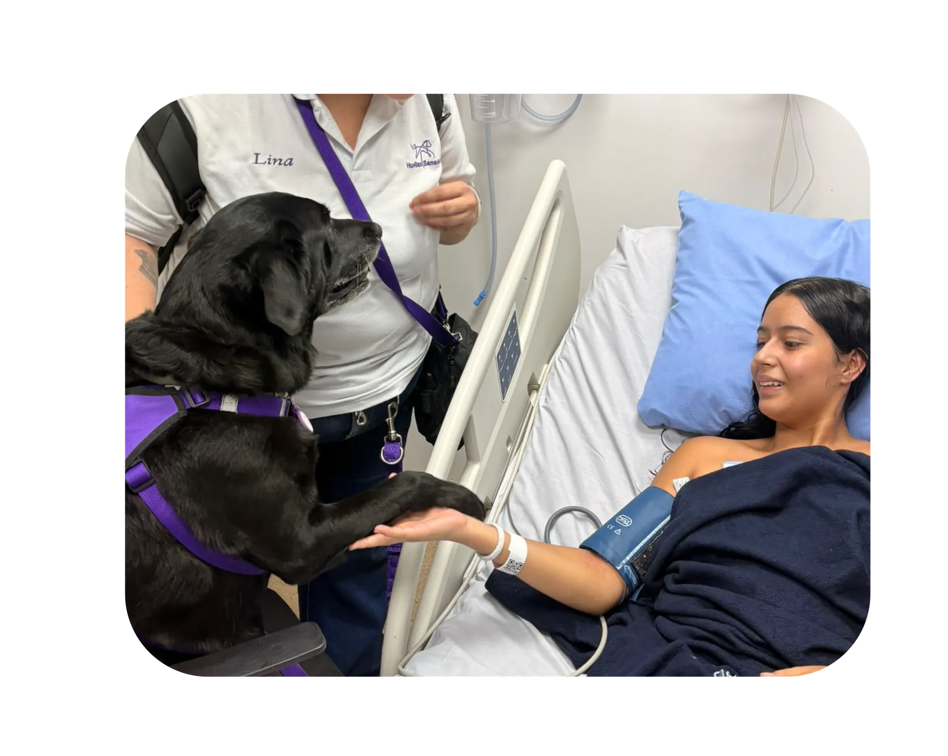 Perrita terapeuta saludando con su pata a una paciente