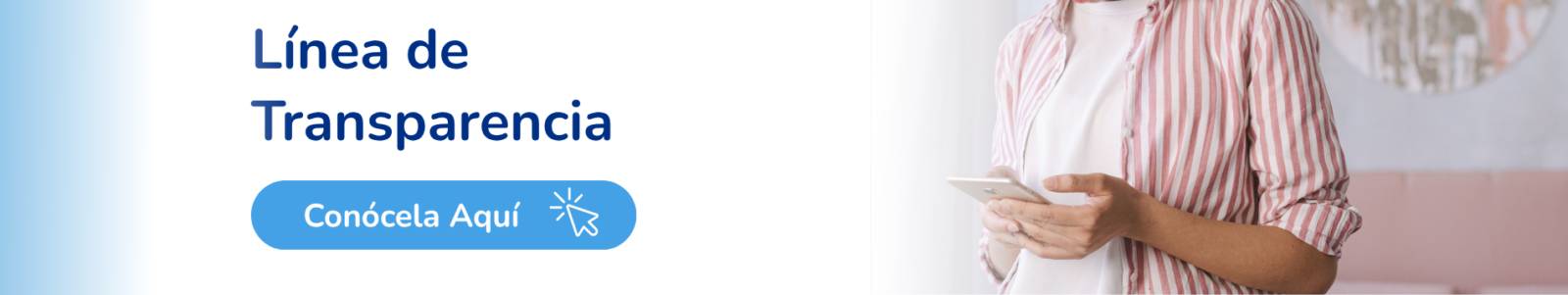 Banner 6